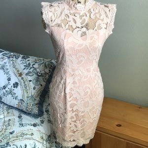 Sans Souci Blush Pink Lace Dress